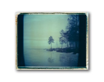 Norway, Old Polaroids, Mamiya, Polaroid Photography, Eerie, Cold, Misty, Lake, Woods, Oslo, Grorud, Landscape Photography, Tree, Norwegian