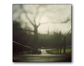 Phoenix Park in Dublin, Ireland Print, Ireland Photography, Middle, Immersive Photo, Green Landscape, City Nature, Path Towards, Light