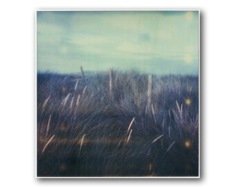 Old Polaroid of a Beach Grass, Malahide Beach, Ireland, SX70, Photography, Vintage, Decor, Original, Landscape, Grass in the wind, Poetic