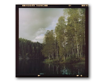 Norwegian Woods, Landscape, Autumn, Birch Grove, Photography Poster, Lake, Norwegian Nature, Sognsvann, Dark Scandinavian, Nordmarka, Oslo