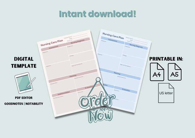 Nursing Care Plan Minimalist Printable Digital Template - Etsy