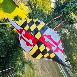 May include: A Maryland state flag painted on a crab shell ornament. The ornament is yellow, black, red, and white. It is hanging from a Christmas tree.