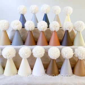 Pom Party Hat - Neutral Rainbow Collection - Birthday Hat