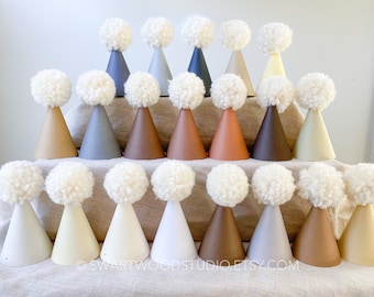 Pom Party Hat - Neutral Rainbow Collection - Birthday Hat