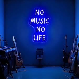 No Music No Life Neon Sign, Studio Room Decor, Music Lover LED Light, Aesthetic Room Decor for Musician, Studio Neon Light, Custom Neon Sign
