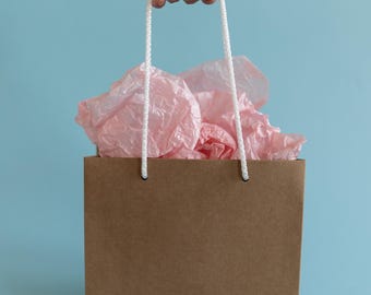 Pink Paper Gift Bags with Cord Handles, 10pcs