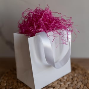 Gift Bags with Satin Handles for Special Occasions: Weddings, Bachelorette Parties, Baby Showers, Mothers or Fathers Day, Easter, Birthdays