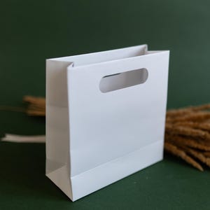 May include: A white paper gift bag with a cut-out handle. The bag is sitting on a green surface.