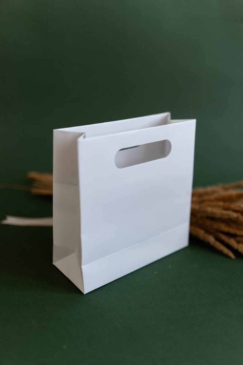 May include: A white paper gift bag with a cut-out handle. The bag is sitting on a green surface.