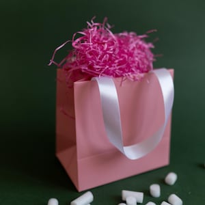 1-10pcs Paper Gift Bags with Satin Handles, Gift Bags for Special Events: Wedding Guests, Parties, Bachelorette Parties, Birthdays, Easter