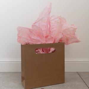 May include: A brown paper gift bag with a handle, filled with pink tissue paper.