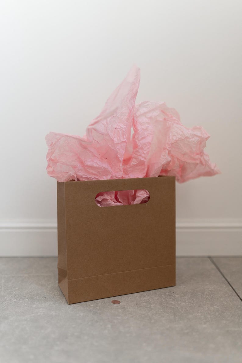 May include: A brown paper gift bag with a handle, filled with pink tissue paper.