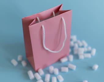 Pink Paper Gift Bags with Cord Handles, Party Favor Packaging