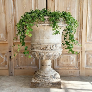 Peut inclure: Un grand pot de fleurs en urne, de couleur blanc cassé vieilli, avec des détails ornés et une base carrée. L'urne est remplie de lierre vert en cascade. Le fond présente une porte en bois clair. Décoration de jardin classique.
