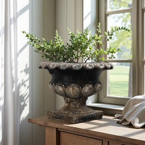 Peut inclure: Un pot en forme d'urne, gris foncé et noir, avec un bord festonné et une base décorative. L'urne est remplie de branches vertes et feuillues. Le pot est posé sur une surface en bois près d'une fenêtre.