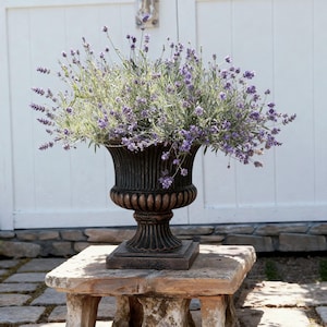 Puede incluir: Una jardinera en forma de urna de color bronce llena de flores de lavanda. La jardinera tiene un diseño detallado y acanalado y se asienta sobre una base cuadrada. Las flores de lavanda son de un púrpura vibrante, que contrasta con la jardinera oscura. La jardinera está sobre un banco de piedra.