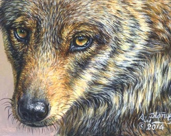 AKIKO - Original miniature acrylic painting of Ibelian Wolf