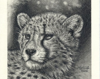 Original Graphite Drawing of a Cheetah Big Cat 5" x 5"