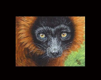 Original ACEO Painting Art of Red Ruffed Lemur Wildlife