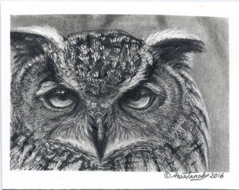 Original Graphite Drawing of an Eagle Owl 2.5" x 3.5" ACEO