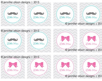 INSTANT DOWNLOAD / Little Man Little Miss Gender Reveal Party Circles / Cupcake Topper / Stickers / Thank You Tags