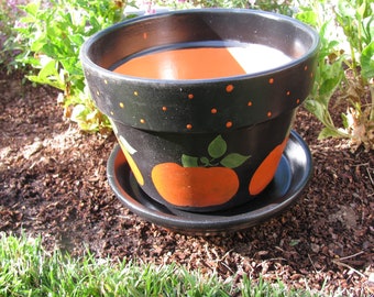 Plantador de calabazas