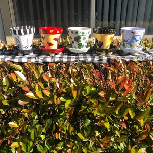 May include: Five hand-painted terracotta flower pots with different designs. The pots are on small stands and are arranged in a row on a black and white checkered surface. The pots are decorated with musical notes, ladybugs, shamrocks, a rooster, and dragonflies.