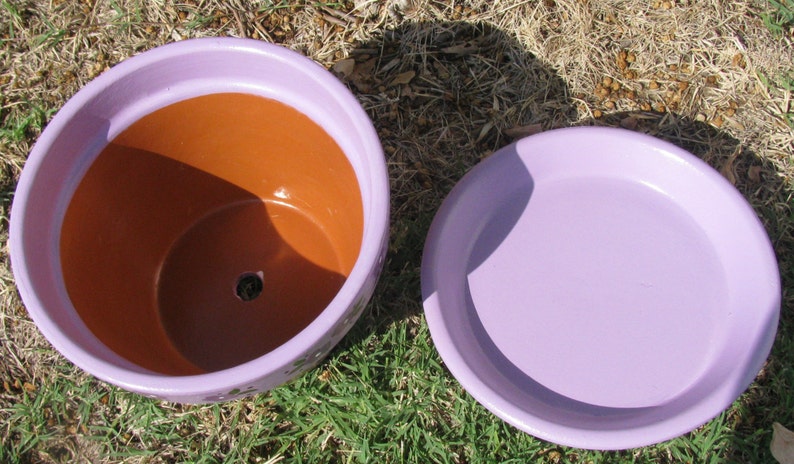 May include: A purple ceramic planter with a matching saucer. The planter has a terracotta interior and a drainage hole.