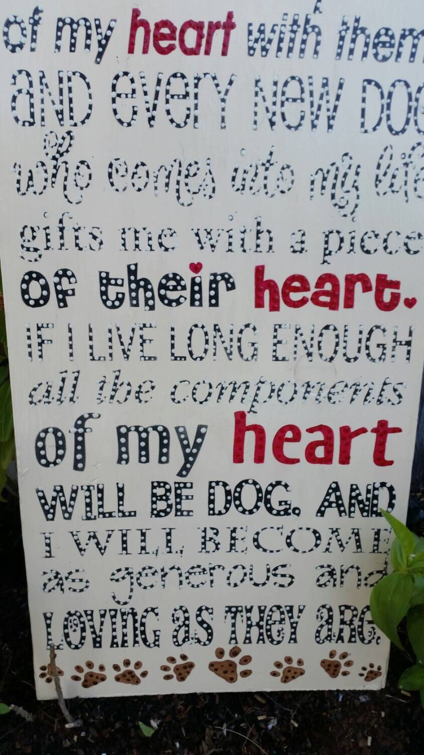 Dog Sign | Etsy