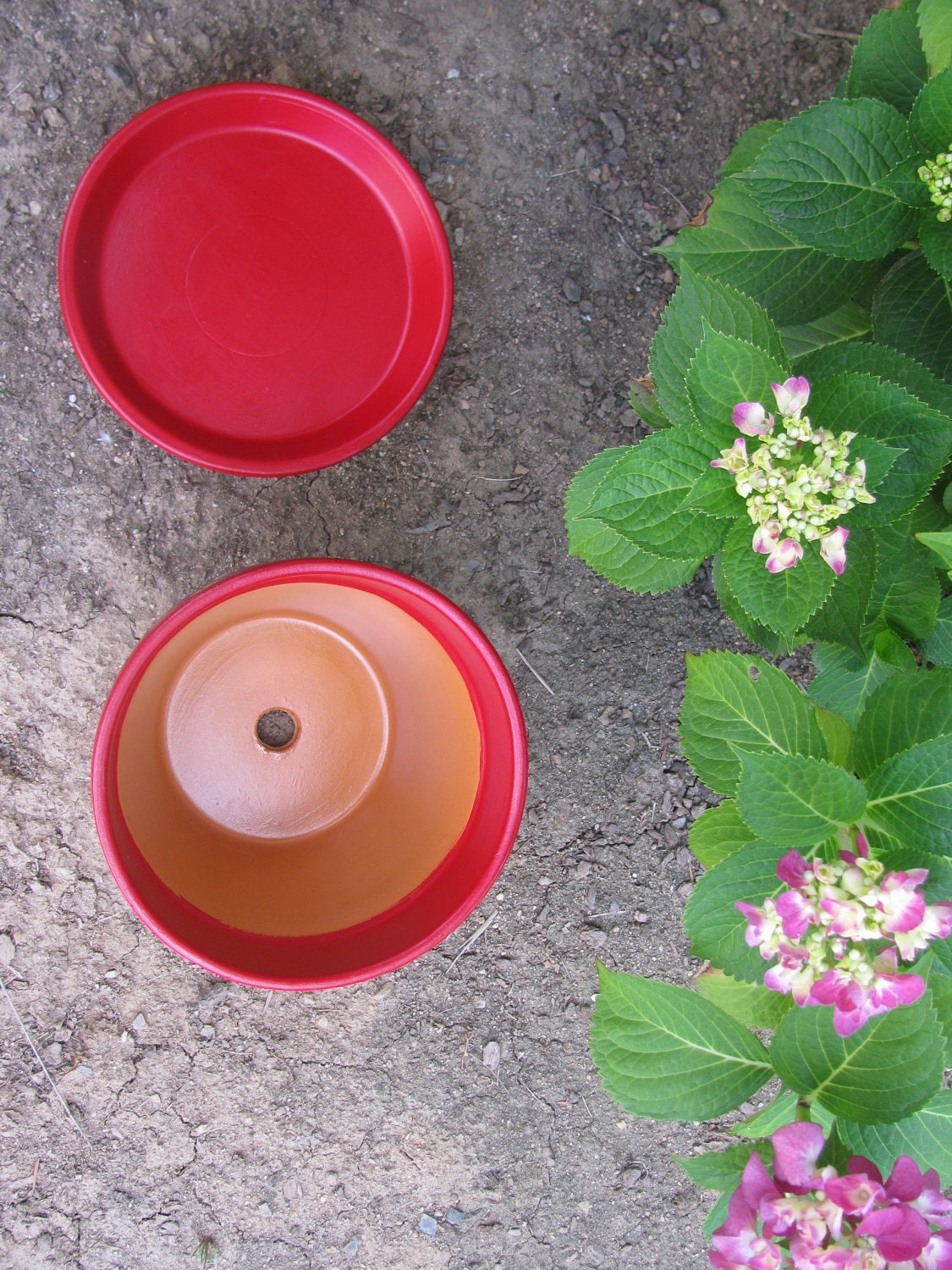 Ladybug Planter Flower Pot | Etsy