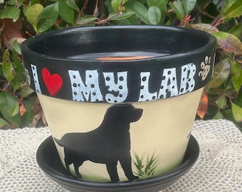 Lab  Flower Pot