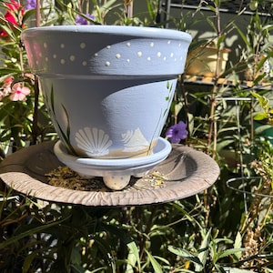 May include: A light blue painted ceramic flower pot with white polka dots and seashell designs. The pot sits on a matching saucer with three white ball feet. Green plant life and flowers surround the pot.