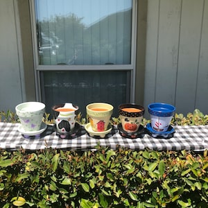 6 inch flower pot