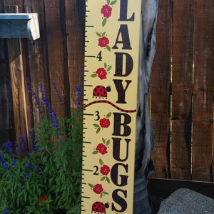 Lieveheersbeestjes groeibord