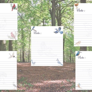 Printable Stationery, Birds Notepad or Notecards, Bird Inspired Stationary, Birds Notepad, Bird Gift