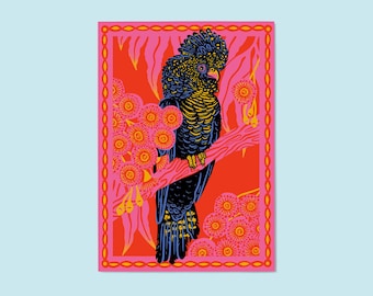 Black Cockatoo Giclee Art Print – Australian Bird Illustration