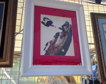 Framed Red Headed Woodpecker (Audubon) Bird Art