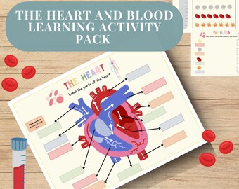 Heart Anatomy, Human Anatomy, Human Body Game, About Me, Heart Science Lesson, Homeschool Curriculum, Teaching Tool, Busy Binder Game, preK