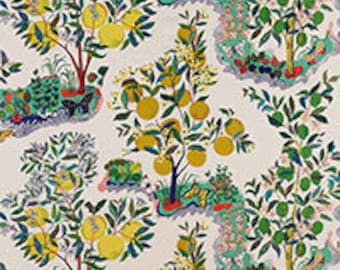 F. Schumacher Citrus Garden Fabric (other colors available)