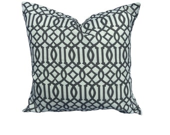 Beige and Blue Embroidered Pillow Cover