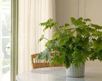 The Designer Check Border Drapes with Lining - other colors available