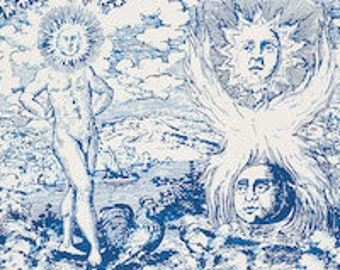 F. Schumacher Modern Toile Fabric (other colors available)