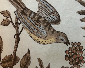 Brunschwig & Fils Bird and Thistle Wallpaper (Priced and sold by 11-yard rolls) (other colors available)