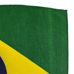 Pode incluir: Uma bandeira verde, amarela e azul. A bandeira tem um fundo verde com um tri&acirc;ngulo amarelo no canto inferior esquerdo e um c&iacute;rculo azul no canto inferior esquerdo.