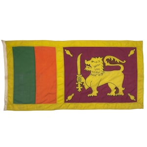 Puede incluir: Una bandera amarilla con una franja vertical verde y naranja en el lado izquierdo. El lado derecho de la bandera presenta un rect&aacute;ngulo granate con un le&oacute;n dorado que sostiene una espada. El le&oacute;n mira hacia el lado izquierdo de la bandera.