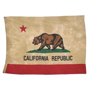 May include: A rectangular flag featuring a beige background with a mottled texture. A brown grizzly bear stands on a green patch of grass in the centre. A red star is in the upper left corner. The text CALIFORNIA REPUBLIC is printed in black.