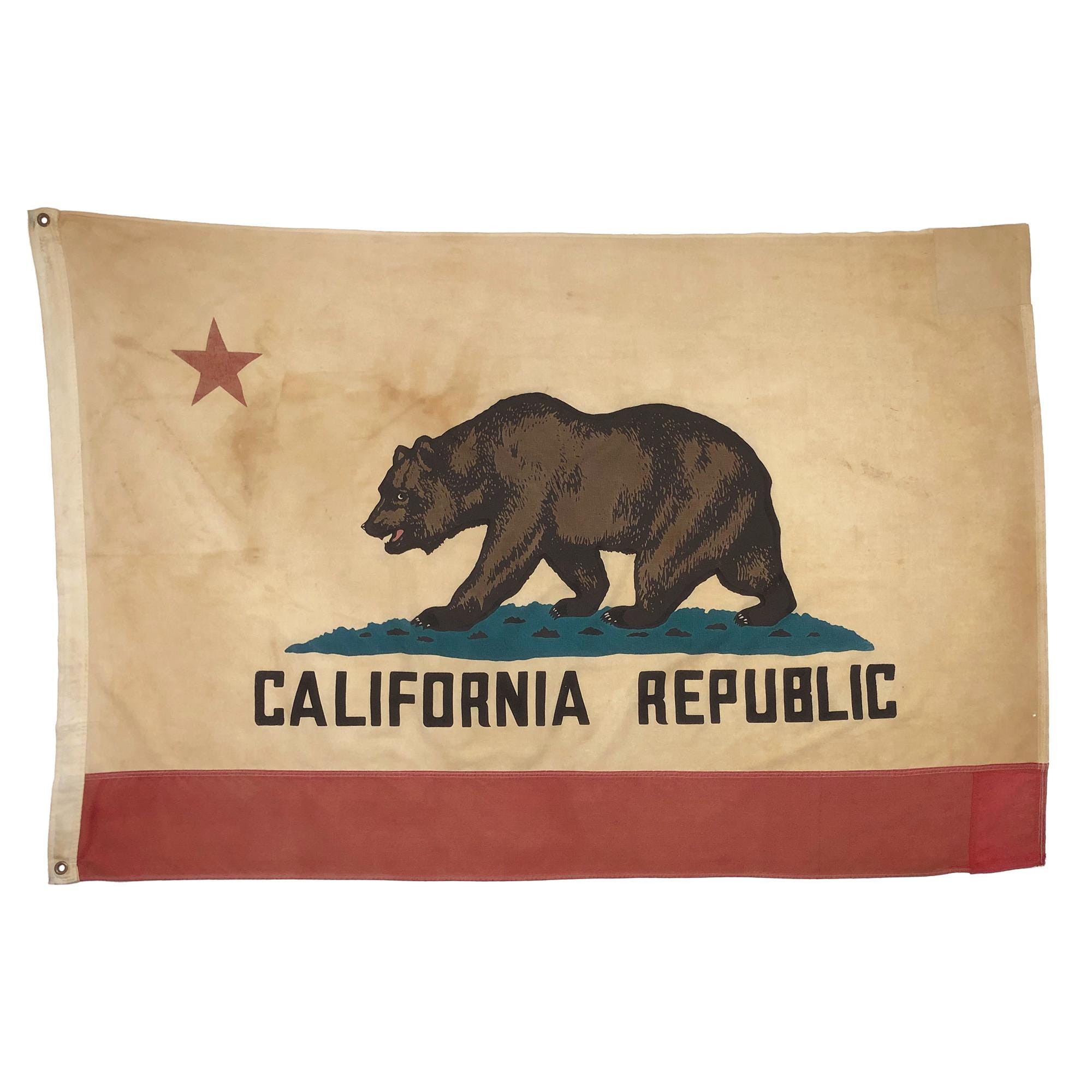 Amazon.com : 100% Cotton Canvas, Made in USA, Single Sided