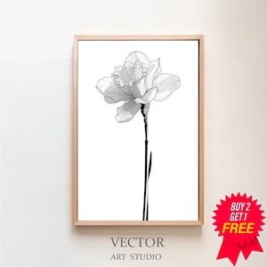 Puede incluir: Una impresión artística floral en blanco y negro enmarcada. La obra presenta un dibujo lineal detallado de una flor de narciso con un tallo largo. El marco es de color madera clara. El texto "VECTOR ART STUDIO" está en la parte inferior.