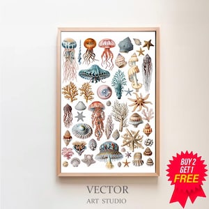 Druckbare Vintage Sealife Karte | Adolphe Millot Poster | Meeresbiologie | Vintage Kunst | Wissenschaft Kunst | Meerestiere Poster | Meer Leben Drucke