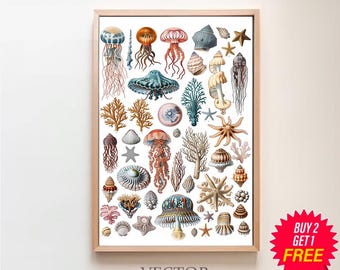 Carte marine Sealife vintage imprimable | affiche d'Adolphe Millot | Biologie marine | oeuvres d'art vintage | Art scientifique | Affiche de la vie océanique | Impressions vie marine